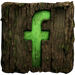 Facebook Icon